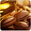 jojoba