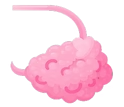 Beef Ovaries