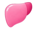Beef Liver