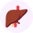Beef Liver