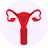 Beef Uterus