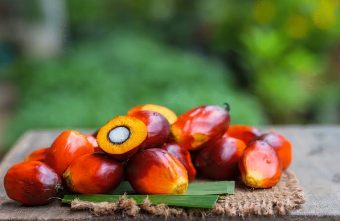 6. It Sells Out Fast (Small Rainforest Batches)